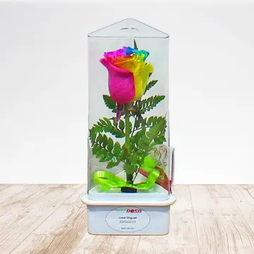 Rainbow Kiss