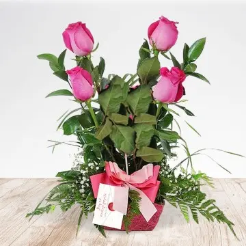 Four Roses