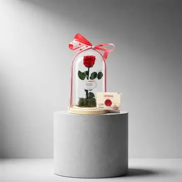 Beauty And Beast Rose