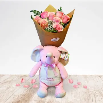 My First Pink Elephant