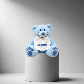 Blue Bib Teddy