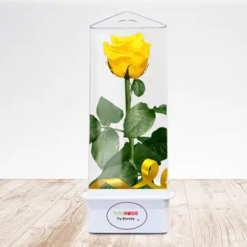 TriEternity Eternal Rose