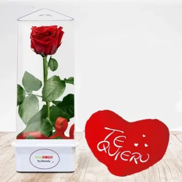 Eternal Bouquet 5R