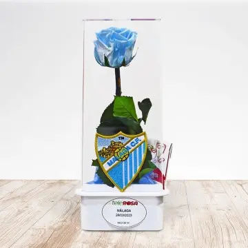 Bouquet of six Roses