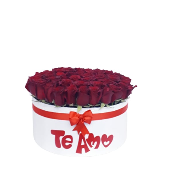 amr0187 (Little)