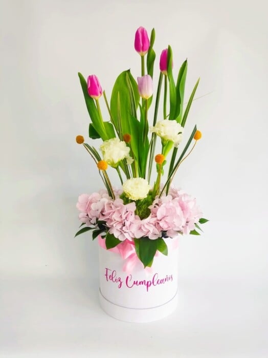 TULI001-TULIPS