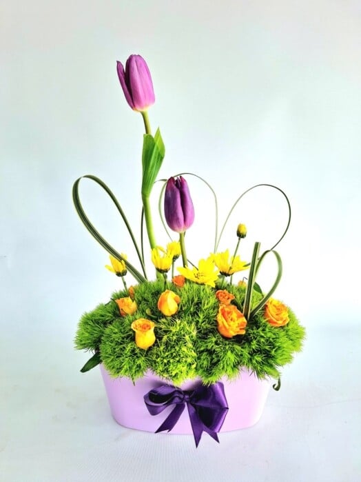 TULI002-TULIPS