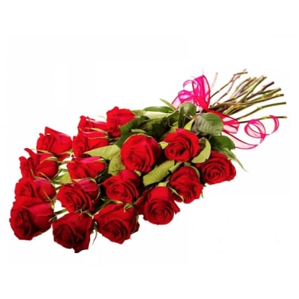 Red Passion