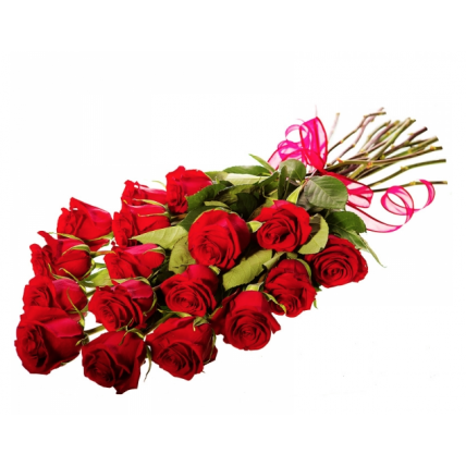 Red Passion