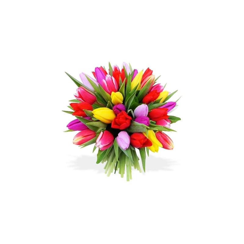 Splash Of Colors