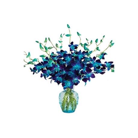 Dream in Turquoise