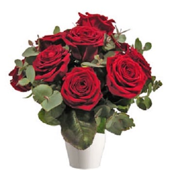 Red Roses (11 Roses)