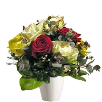 Mix Roses (13 Roses)