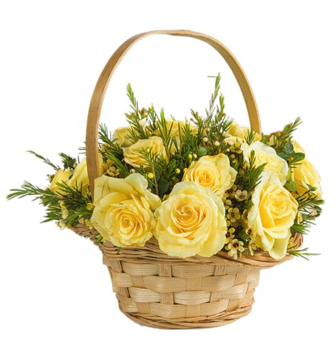 Yellow Basket