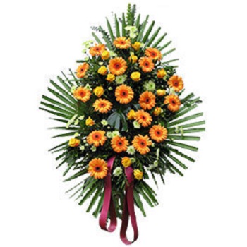 Orange Crown