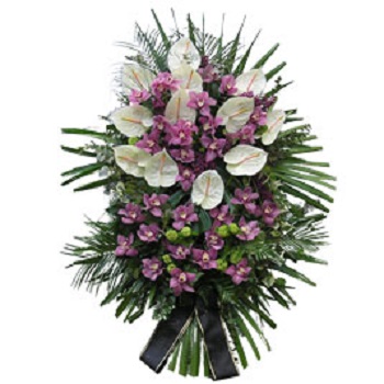 White-Pink Crown