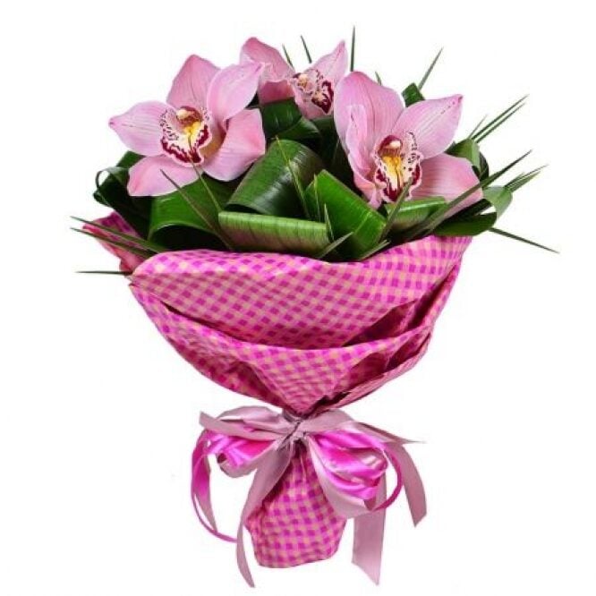 Tenderness and exotic