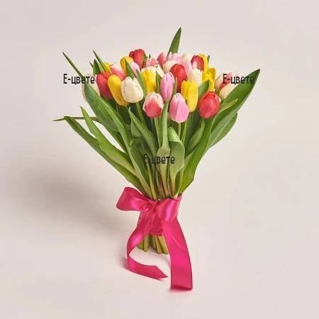 Colorful tulips (7 stems)