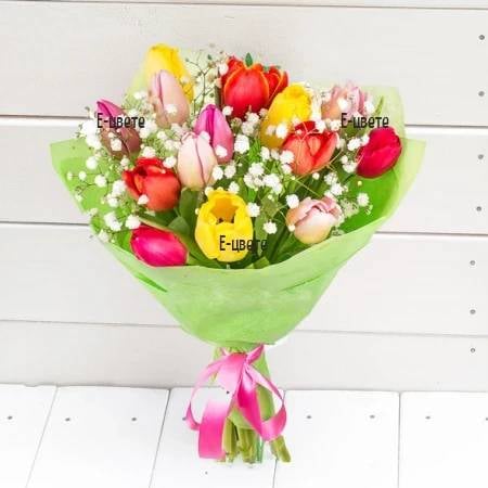 Tulips and gypsophila (Standard)
