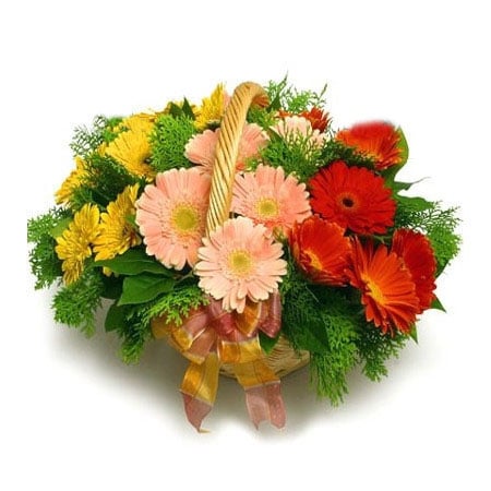 Flowers basket with gerberas