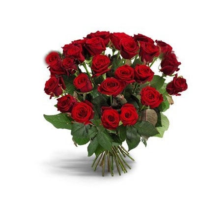 Red roses