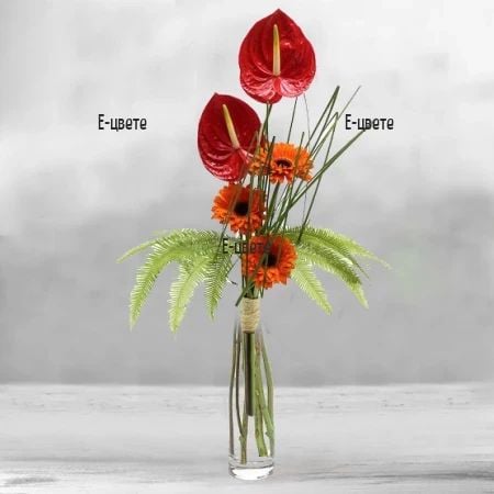 Bouquet - Gerberas and Anthurium