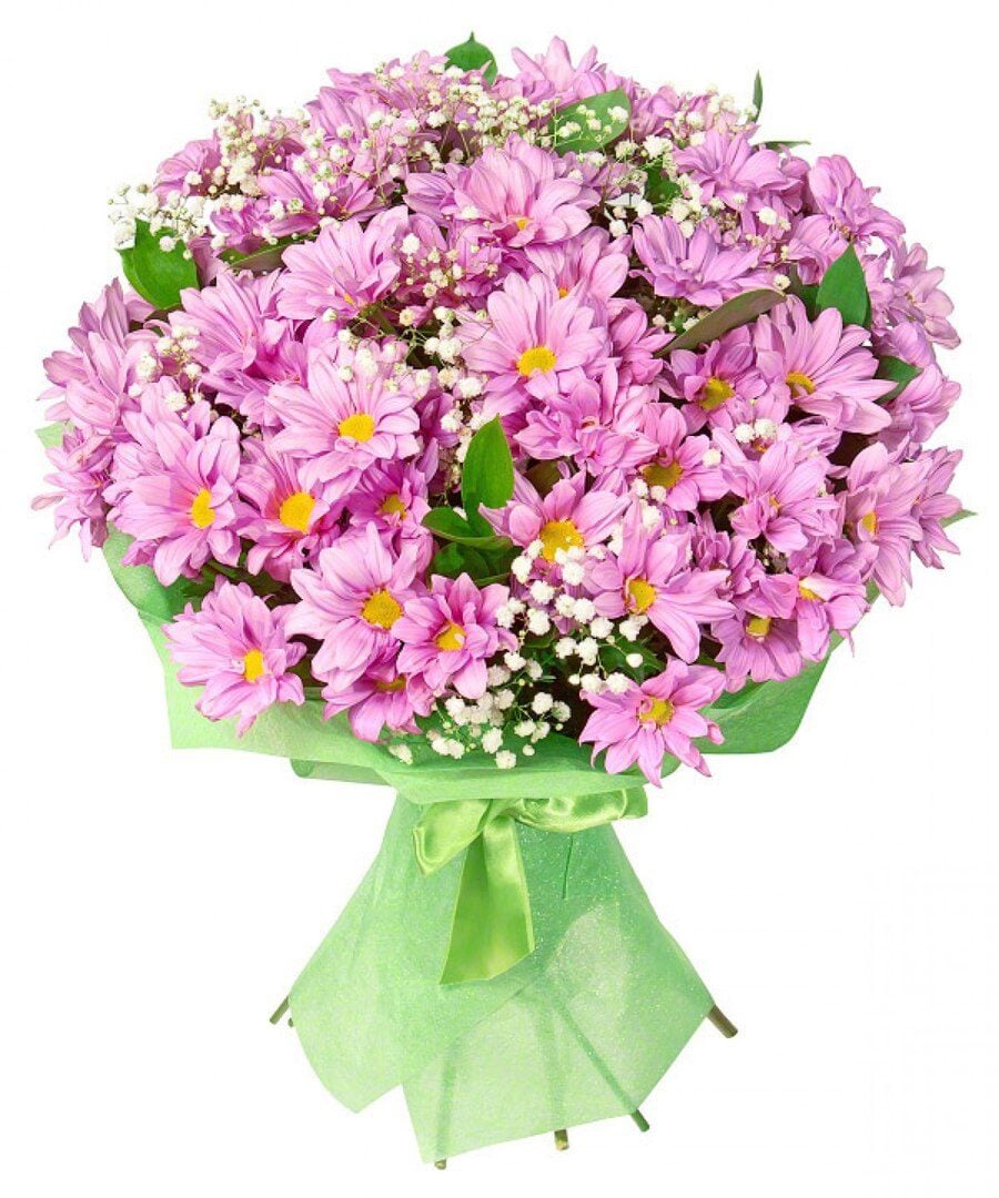 Bouquet of pink chrisanthemums