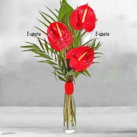 Bouquet of Anthuriums