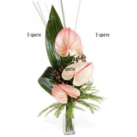 Bouquet of Anthuriums