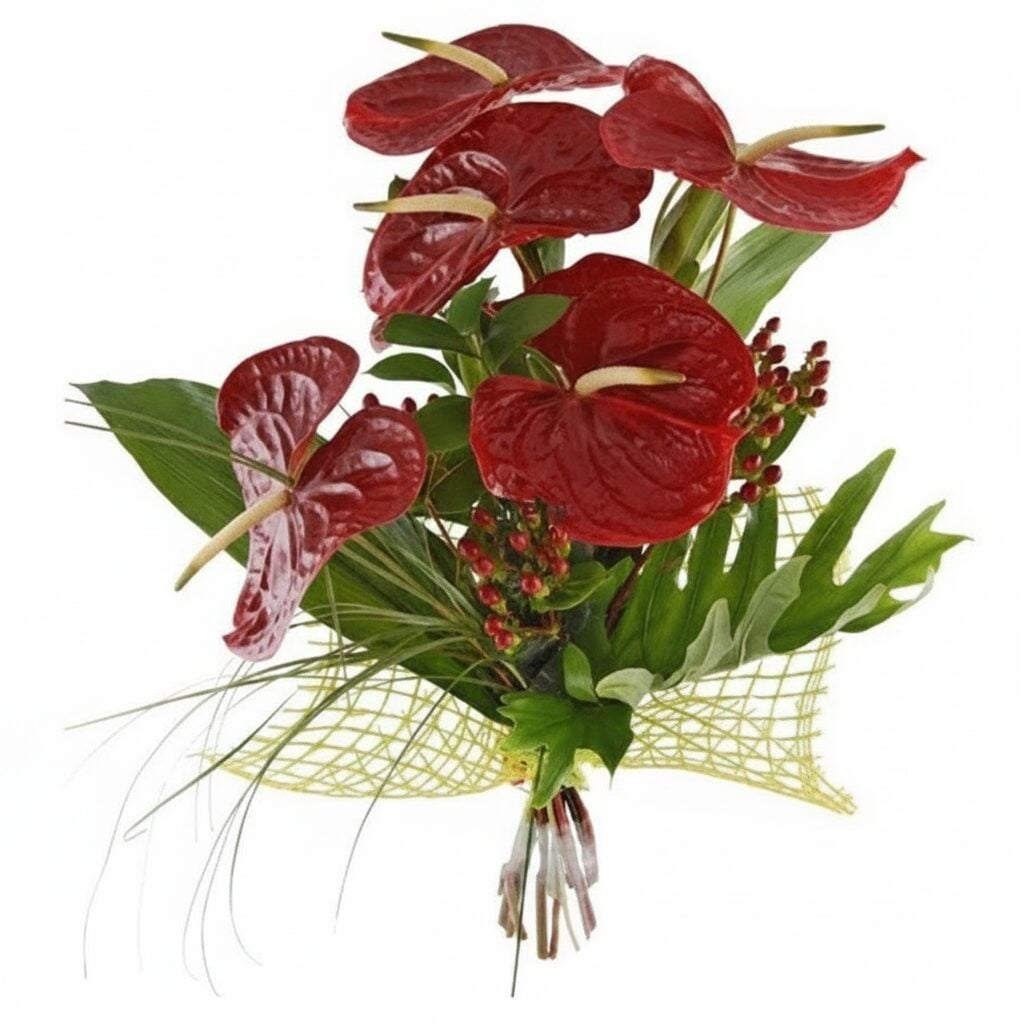 Bouquet of Anthuriums and Greens