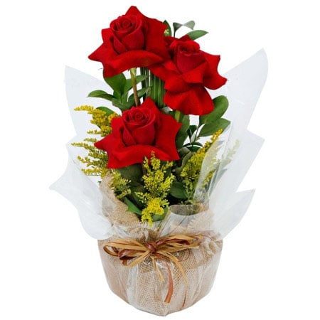 Three roses and solidago