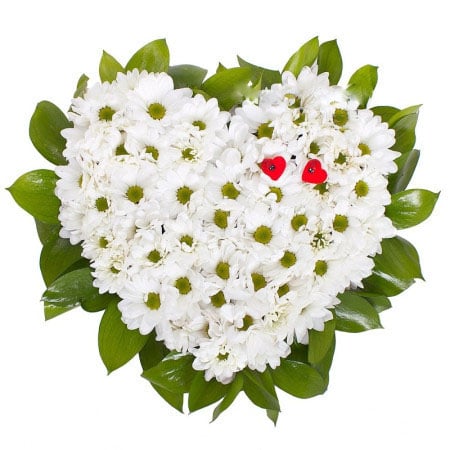 Gentle heart