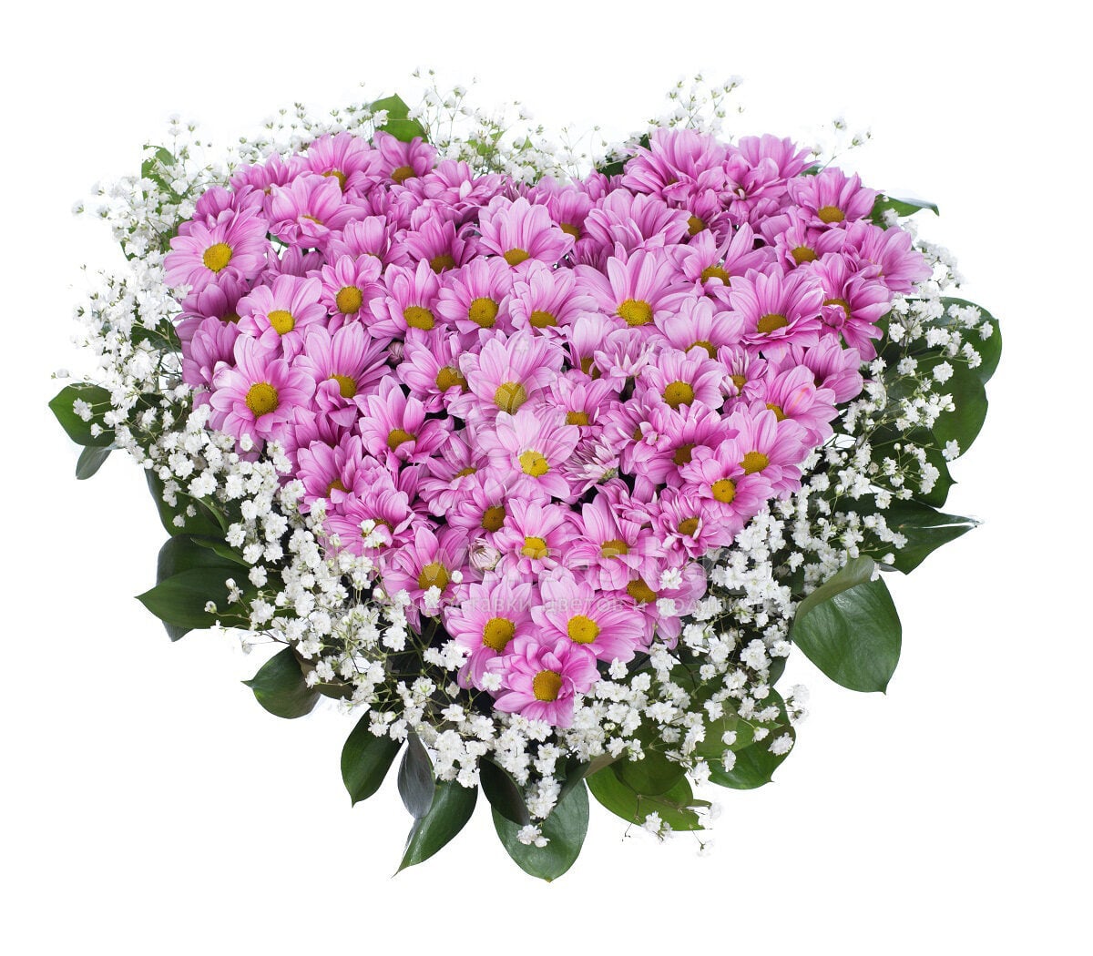 Heart of pink chrysanthemums and gypsophila