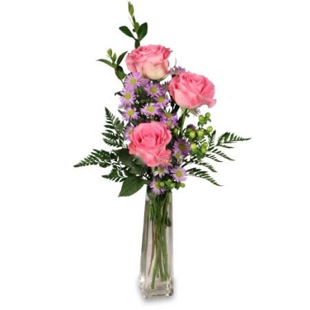 Three pink roses