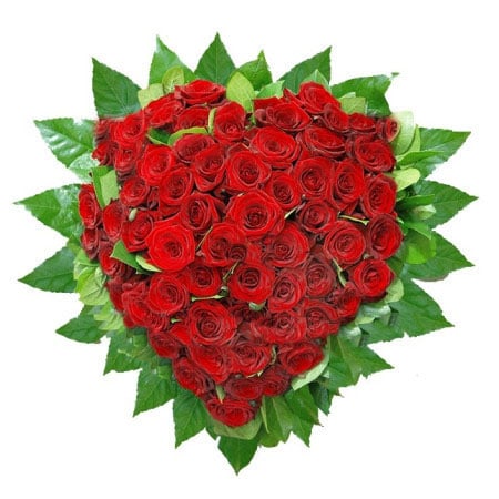 Heart of 55 roses