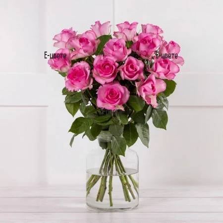 Pink Roses