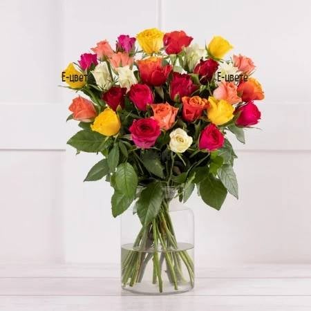Colourful roses