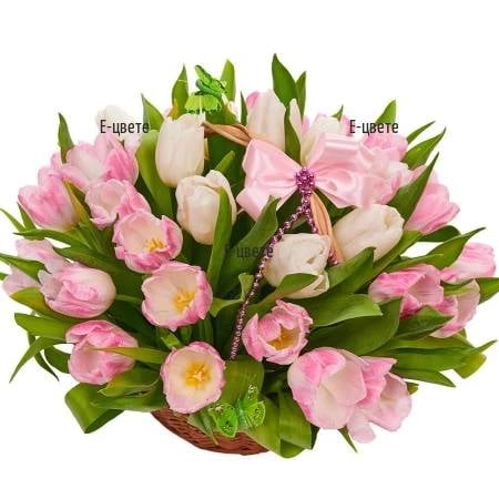 Gentle spring