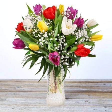 Spring sensation (Without glass vase)