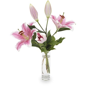 Bouquet - The flight of the Butterfly