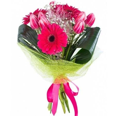 Spring in pink (Standard)