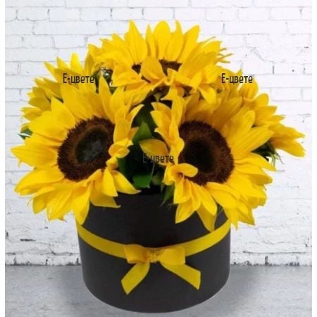 Sunflowers in a round box