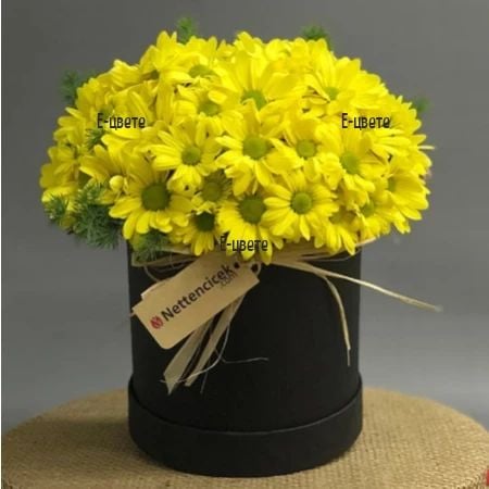 Yellow chrysanthemums in a flower box