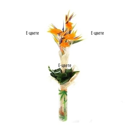Paradise bouquet
