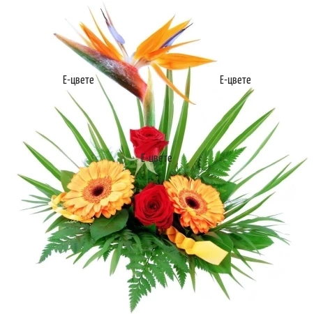 Flower arrangement - Fairy Day