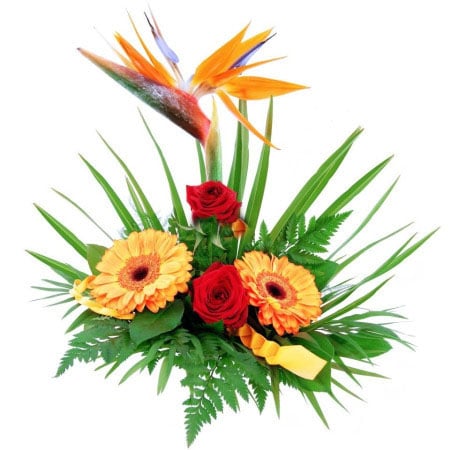 Flower arrangement - Fairy Day