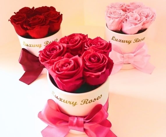 Roses S