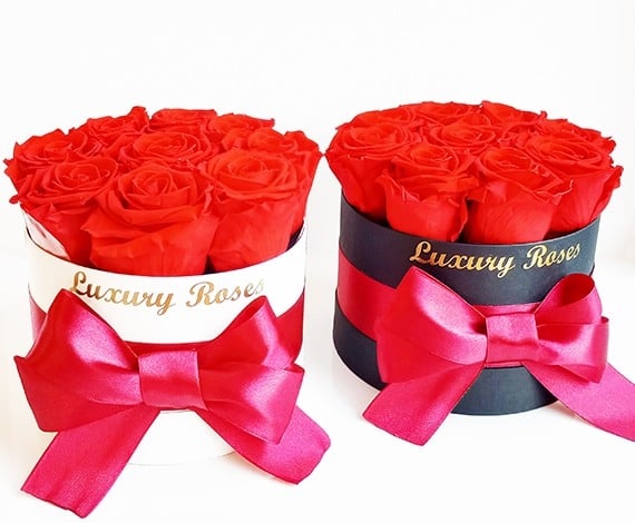Roses M