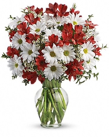 Dancing in Daisies