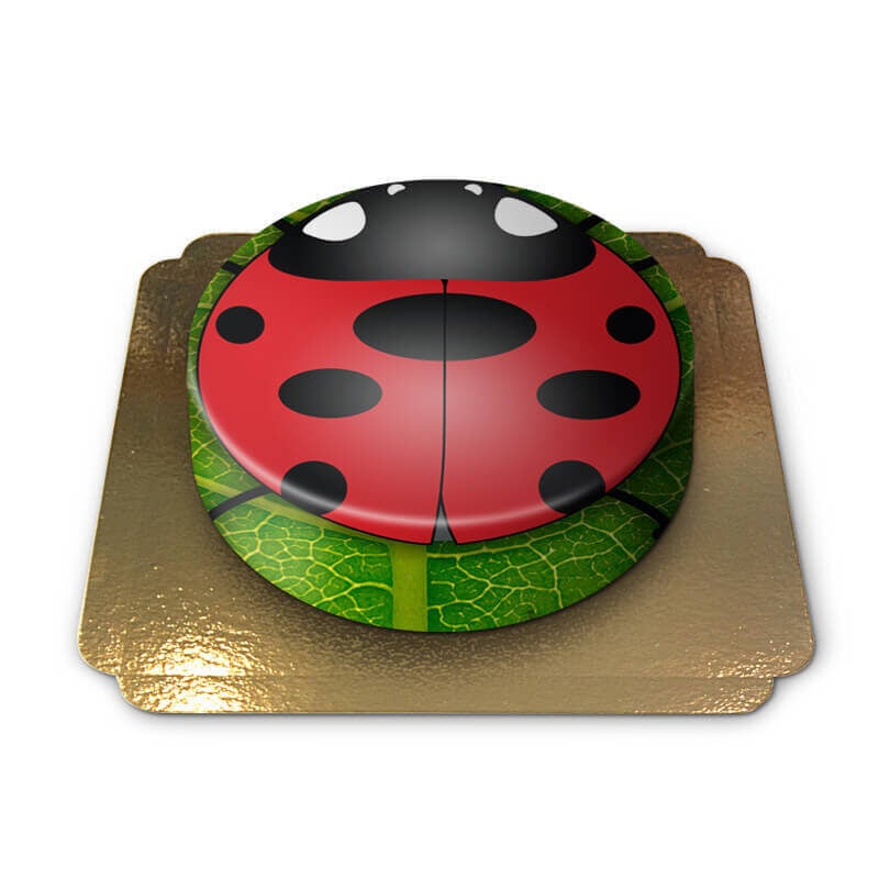 Ladybug cake (Small (18 cm(6-8 pieces)))